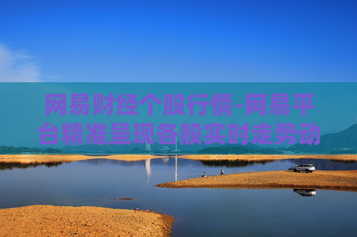 网易财经个股行情-网易平台精准呈现各股实时走势动态