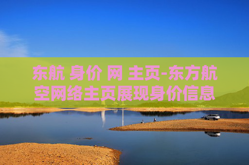 东航 身价 网 主页-东方航空网络主页展现身价信息