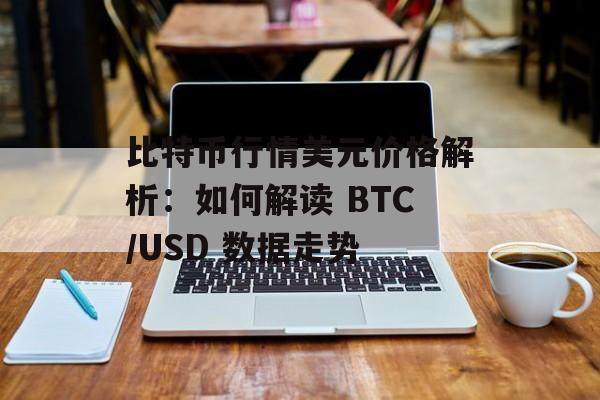 比特币行情美元价格解析:如何解读 BTC/USD 数据走势